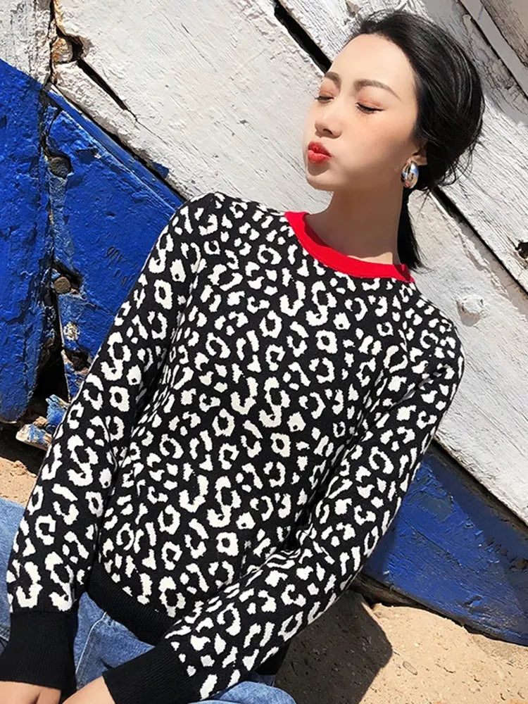 Leopard Knitted Pullovers