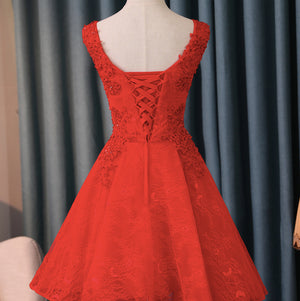 #1492 V Neck Embroidered Crochet Lace Mini Dress