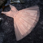 #1304 Embroidered Organza with Beads Skater Mini Dress